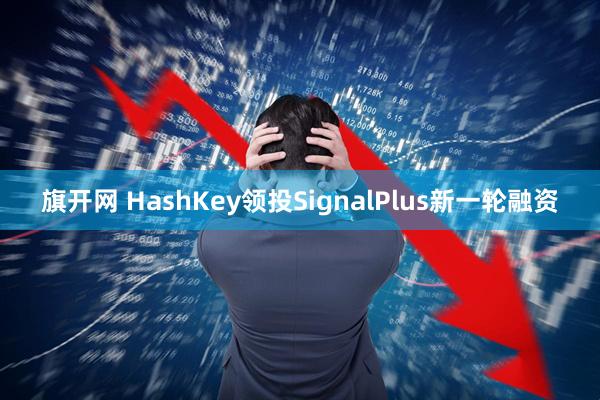 旗开网 HashKey领投SignalPlus新一轮融资
