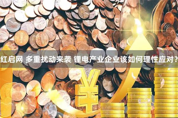 红启网 多重扰动来袭 锂电产业企业该如何理性应对？