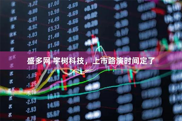 盛多网 宇树科技，上市路演时间定了